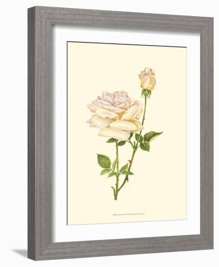 Victorian Rose IV-P^ Seguin-Bertault-Framed Art Print