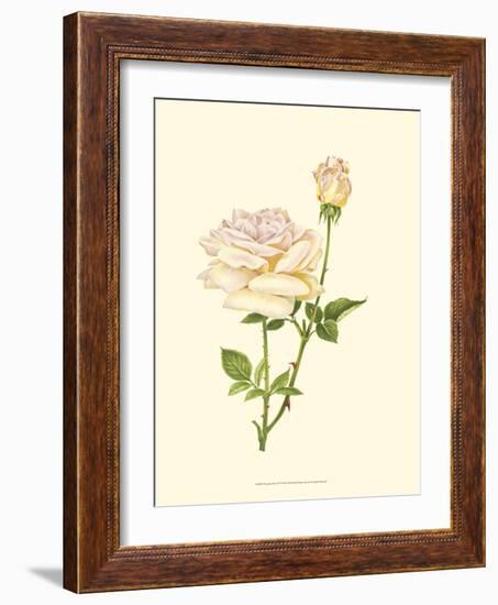 Victorian Rose IV-P^ Seguin-Bertault-Framed Art Print