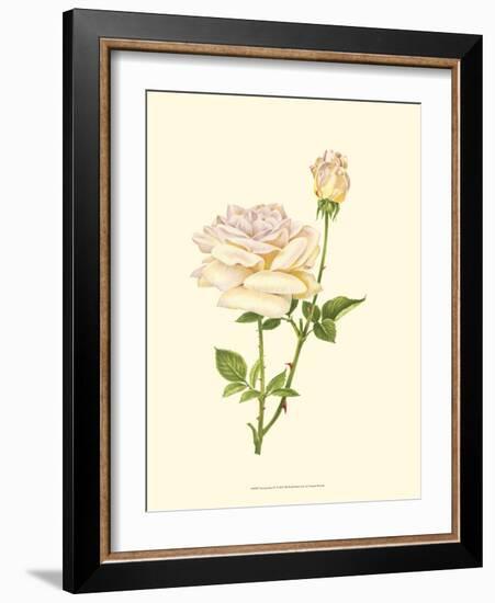 Victorian Rose IV-P^ Seguin-Bertault-Framed Art Print