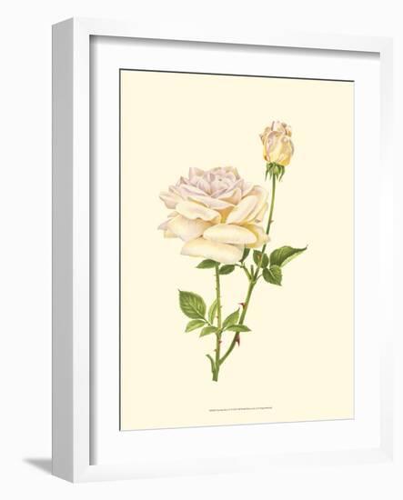 Victorian Rose IV-P^ Seguin-Bertault-Framed Art Print