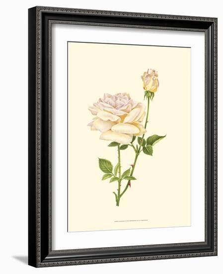 Victorian Rose IV-P^ Seguin-Bertault-Framed Art Print