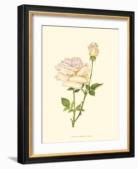 Victorian Rose IV-P^ Seguin-Bertault-Framed Art Print