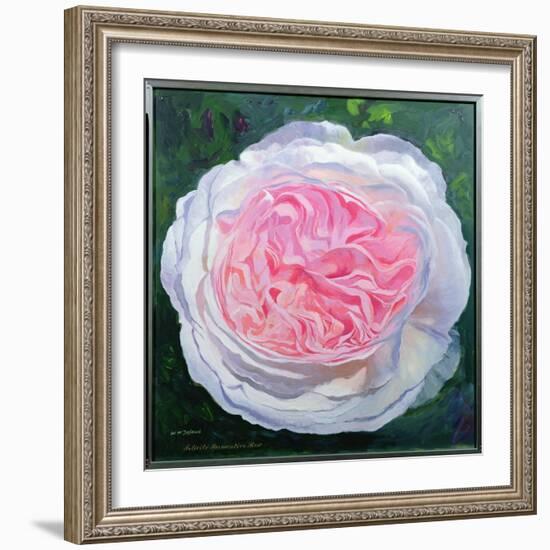 Victorian Rose-William Ireland-Framed Giclee Print