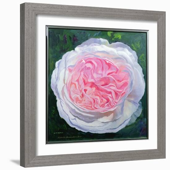 Victorian Rose-William Ireland-Framed Giclee Print