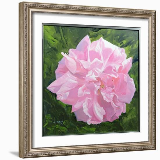 Victorian Rose-William Ireland-Framed Giclee Print