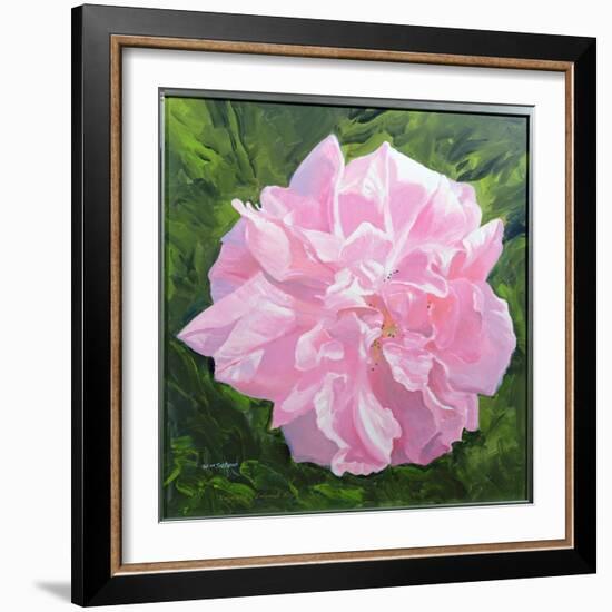 Victorian Rose-William Ireland-Framed Giclee Print