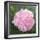 Victorian Rose-William Ireland-Framed Giclee Print