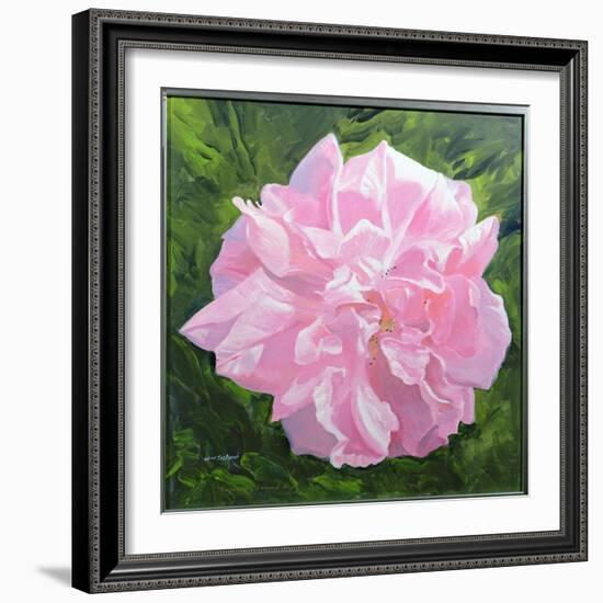 Victorian Rose-William Ireland-Framed Giclee Print