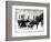 Victorian Sleigh Ride, C.1870-99-null-Framed Photographic Print