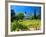 Victorian St. Clement Winery, St. Helen, Napa Valley Wine Country, California, USA-John Alves-Framed Photographic Print