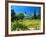 Victorian St. Clement Winery, St. Helen, Napa Valley Wine Country, California, USA-John Alves-Framed Photographic Print