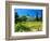 Victorian St. Clement Winery, St. Helen, Napa Valley Wine Country, California, USA-John Alves-Framed Photographic Print