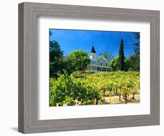 Victorian St. Clement Winery, St. Helen, Napa Valley Wine Country, California, USA-John Alves-Framed Photographic Print