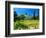 Victorian St. Clement Winery, St. Helen, Napa Valley Wine Country, California, USA-John Alves-Framed Photographic Print