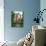 Victorian Style Home-null-Mounted Photographic Print displayed on a wall