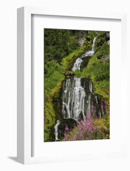 Vidae Falls, Crater Lake National Park, Oregon, USA-Michel Hersen-Framed Photographic Print
