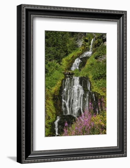 Vidae Falls, Crater Lake National Park, Oregon, USA-Michel Hersen-Framed Photographic Print