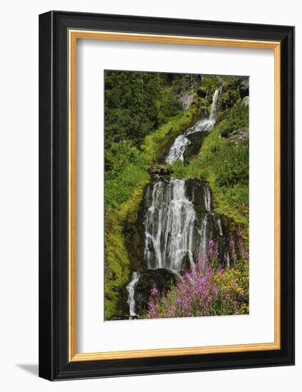 Vidae Falls, Crater Lake National Park, Oregon, USA-Michel Hersen-Framed Photographic Print