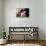 Videodrome (photo)-null-Framed Stretched Canvas displayed on a wall