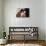 Videodrome (photo)-null-Mounted Photo displayed on a wall