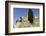 Viellevieille Castle, Dating from the 11th Century, with a Renaissance Facade-Stuart Forster-Framed Photographic Print