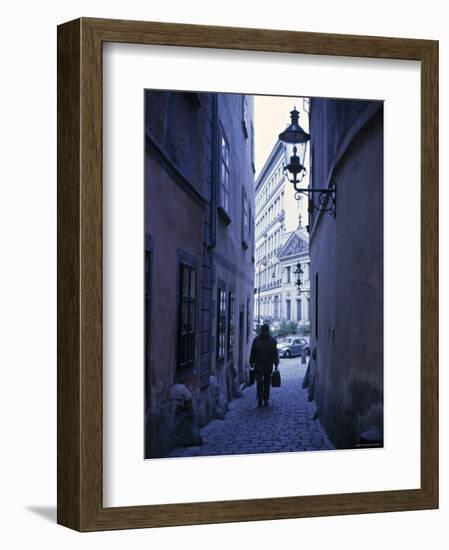 Vienna, Austria-Alan Copson-Framed Photographic Print