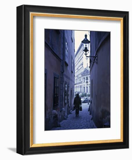 Vienna, Austria-Alan Copson-Framed Photographic Print