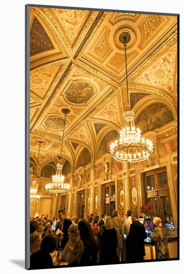 Vienna State Opera House, Vienna, Austria, Europe-Neil Farrin-Mounted Photographic Print