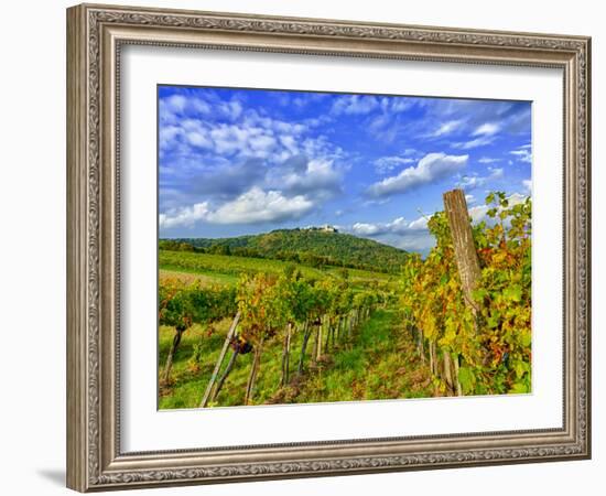 Vienna Vineyards, Austria-Richard Duval-Framed Photographic Print