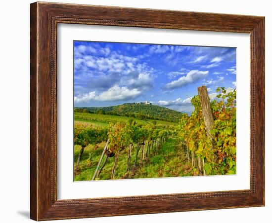 Vienna Vineyards, Austria-Richard Duval-Framed Photographic Print