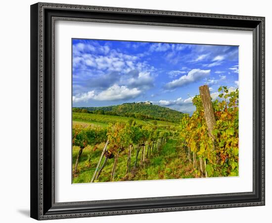 Vienna Vineyards, Austria-Richard Duval-Framed Photographic Print