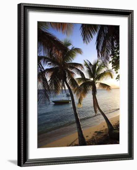 Vieques Island, Esperanza Bay, Puerto Rico-Michele Falzone-Framed Photographic Print