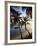 Vieques Island, Esperanza Bay, Puerto Rico-Michele Falzone-Framed Photographic Print