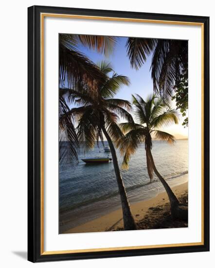 Vieques Island, Esperanza Bay, Puerto Rico-Michele Falzone-Framed Photographic Print