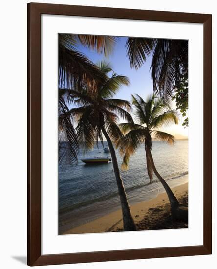 Vieques Island, Esperanza Bay, Puerto Rico-Michele Falzone-Framed Photographic Print