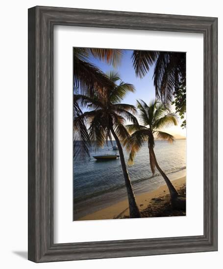 Vieques Island, Esperanza Bay, Puerto Rico-Michele Falzone-Framed Photographic Print