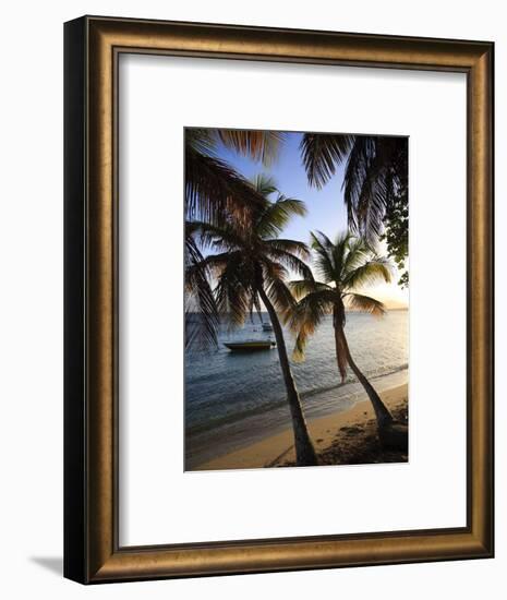 Vieques Island, Esperanza Bay, Puerto Rico-Michele Falzone-Framed Photographic Print