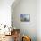 Vieste, Promoontorio Del Gargano, Puglia, Italy-Peter Adams-Mounted Photographic Print displayed on a wall