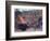 Viet Cong Burning-Horst Faas-Framed Photographic Print