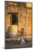 Vietnam, Danang, Hoi an Old Town (Unesco Site)-Michele Falzone-Mounted Photographic Print