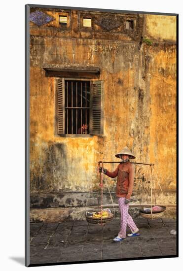 Vietnam, Danang, Hoi an Old Town (Unesco Site)-Michele Falzone-Mounted Photographic Print