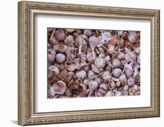 Vietnam, Dien Bien Phu. City Market, Garlic-Walter Bibikow-Framed Photographic Print