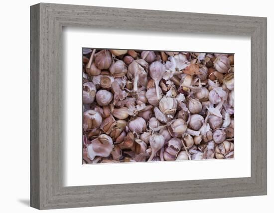 Vietnam, Dien Bien Phu. City Market, Garlic-Walter Bibikow-Framed Photographic Print