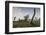 Vietnam, Dmz Area. Quang Tri Province, Khe Sanh, Fch-47 Chinook Helicopter-Walter Bibikow-Framed Photographic Print