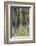 Vietnam, Dmz Area. Quang Tri Province, Rubber Tree Plantation-Walter Bibikow-Framed Photographic Print