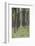 Vietnam, Dmz Area. Quang Tri Province, Rubber Tree Plantation-Walter Bibikow-Framed Photographic Print