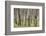 Vietnam, Dmz Area. Quang Tri Province, Rubber Tree Plantation-Walter Bibikow-Framed Photographic Print