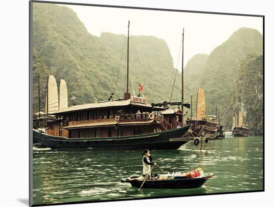 Vietnam, Halong Bay and Tourist Junk Boat-Steve Vidler-Mounted Photographic Print