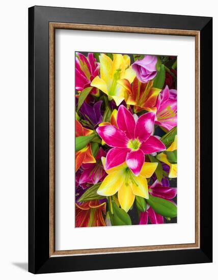 Vietnam, Hanoi. Flower Market-Walter Bibikow-Framed Photographic Print