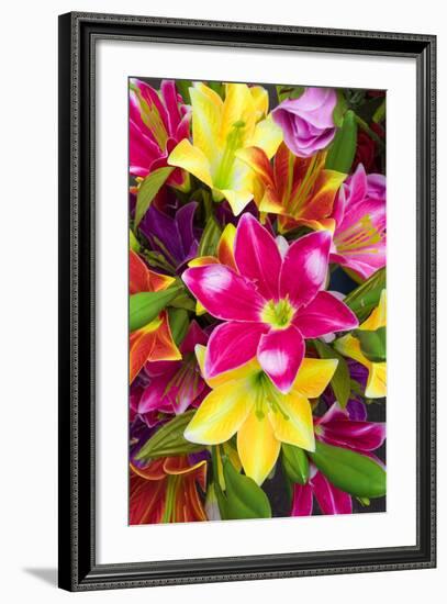 Vietnam, Hanoi. Flower Market-Walter Bibikow-Framed Photographic Print